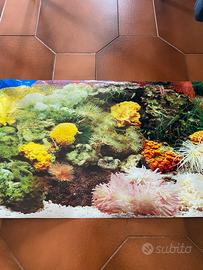 Sfondo acquario double face