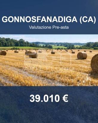 Immobile in asta di 213330 m² a Gonnosfanadiga