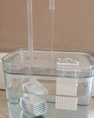 Fontanella acqua gatto