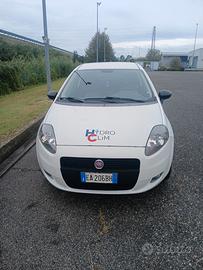 fiat Francesco punto 