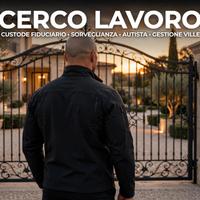 Autista personale _custode_ sicurezza privata