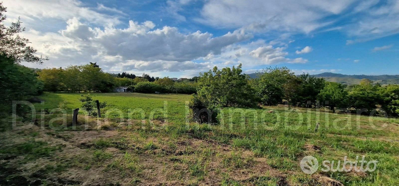 Rustico con uliveto e vigneto a Piedimonte Etneo - Vista 4