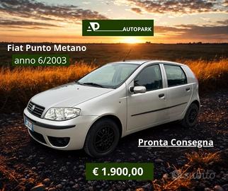 Fiat Punto 1.2 5 porte Dynamic Metano