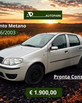 Fiat Punto 1.2 5 porte Dynamic Metano