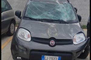 Fiat Panda Hybrid 2022 incidentata