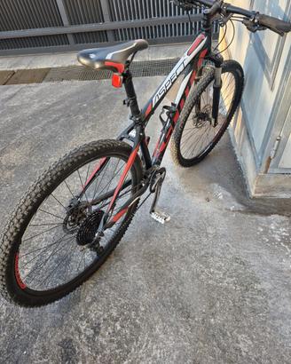 MOUNTAIN BIKE 29