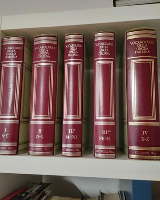 Vocabolario della lingua italiana Treccani 