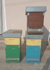 arnie da 6 telai dadant