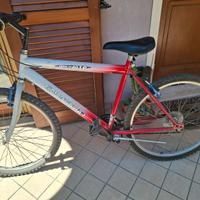 Bicicletta mtb