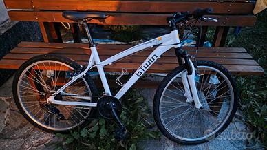 bicicletta mtb