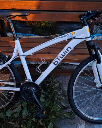 bicicletta mtb