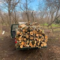 Legna da ardere nocciolo