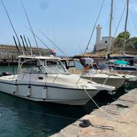 BOSTON WHOLER 285 conquest