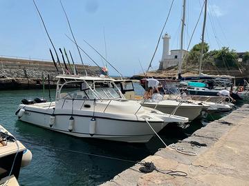 BOSTON WHOLER 285 conquest