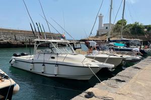 BOSTON WHOLER 285 conquest