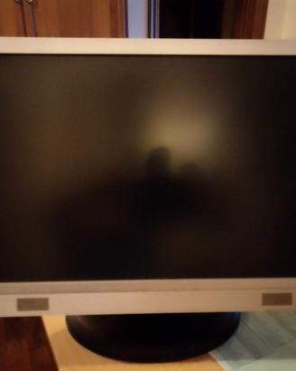 Monitor 19 pollici