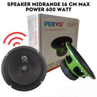 CASSA PROFESSIONALE PER AUTO MIDRANGE SPEAKER