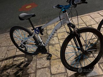 Bici normale