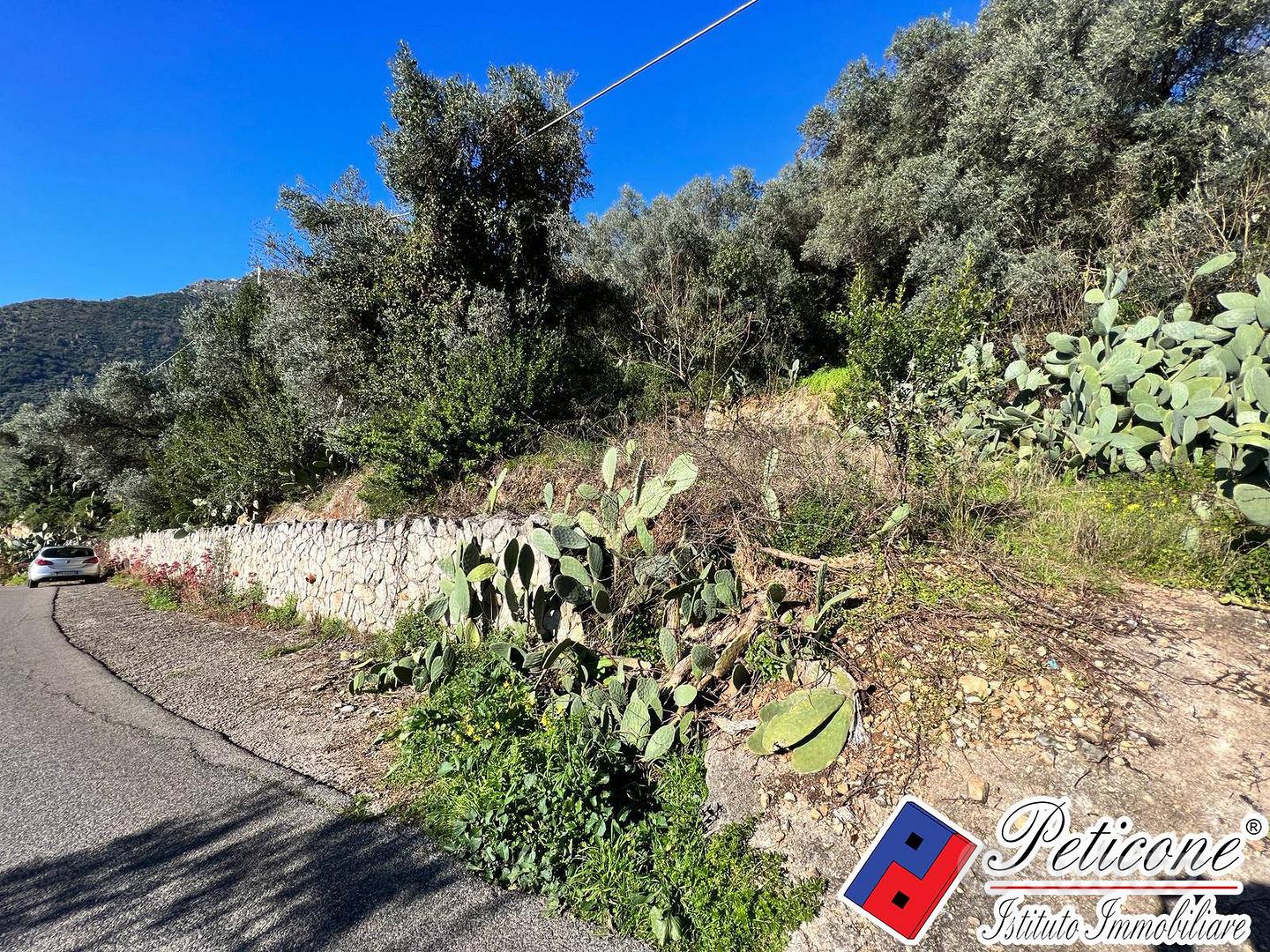 Terreno edificabile - Fondi - Vista 2