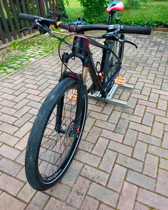Bici MTB Cube Limited Pro ruote Noxon 