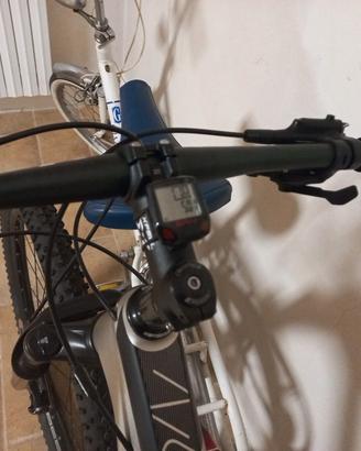 Mtb olimpia 29