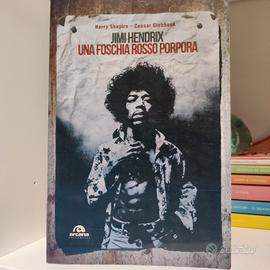 Jimmy Hendrix una foschia rosso porpora