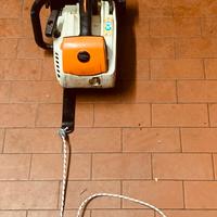 Verricello tiro ungulati