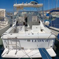 Fisherman americano phoenix 27