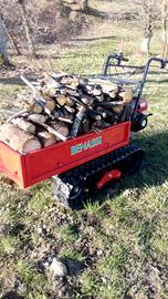 TRANSPORTER MOTOCARRIOLA IDRO