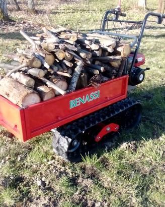 TRANSPORTER MOTOCARRIOLA IDRO