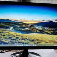 Monitor Samsung LS22D300NY LCD da 22"
