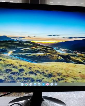 Monitor Samsung LS22D300NY LCD da 22"