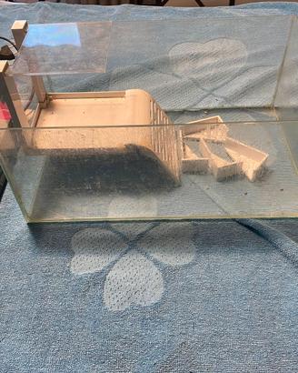 Vasca per tartarughe completo di accessori