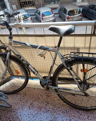 Bici Atala Boston