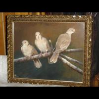 LENCI DIPINTI GATTI e TORTORELLE