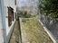 Immagine 12