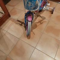 bici Modello frozen