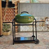 BARBEQUE GRILL MAI USATO