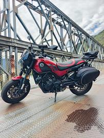 Benelli Leoncino 500