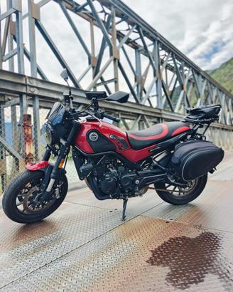 Benelli Leoncino 500