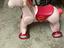 Immagine 2
