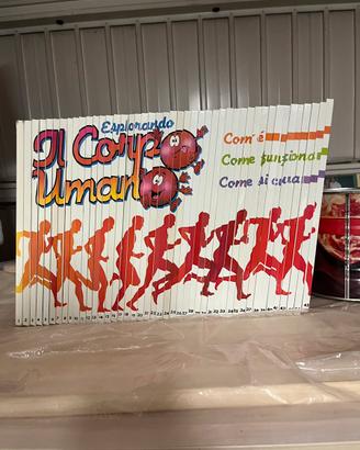 Esplorando il corpo umano