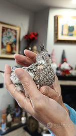 Calopsiti allevati a mano