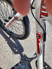 bici BMX REGINA 