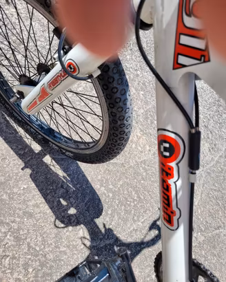 bici BMX REGINA 