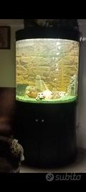 acquario da arredo
