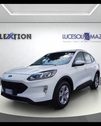 FORD Kuga 3ª serie - Kuga 1.5 EcoBlue 120 CV 2WD C