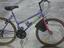 Immagine 2