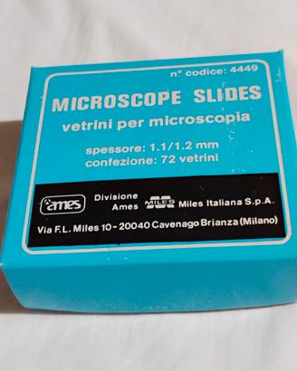vecchi vetrini per microscopio Ames 