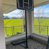 Tabellone Canestro regolabile in altezza